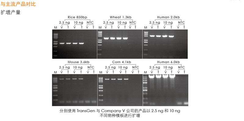 新產(chǎn)品2×TransStart GoldPfu PCR SuperMix上市