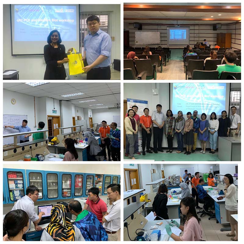 全式金在馬來(lái)西亞3所高校成功舉辦Workshop