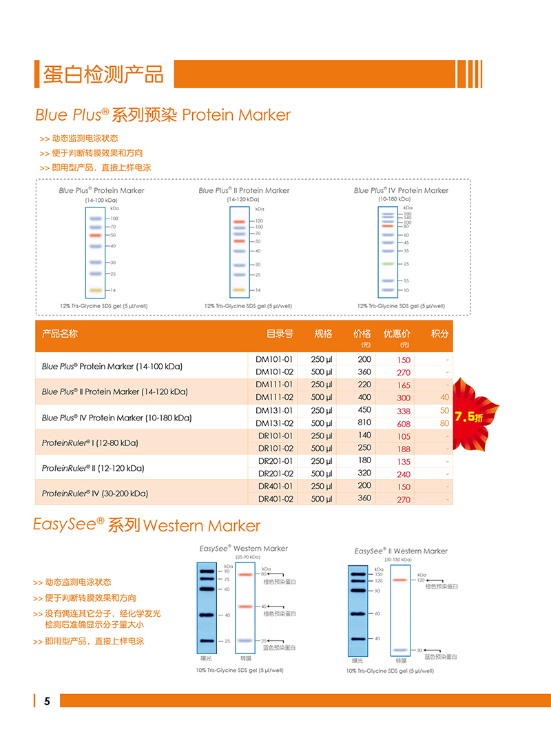 Western Blot金牌產(chǎn)品7.5折大促