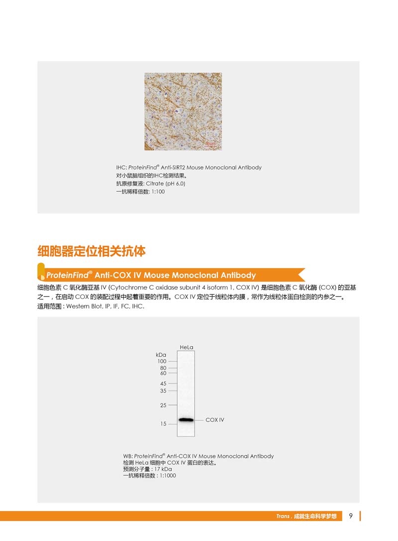 細(xì)胞生物學(xué)相關(guān)抗體新品上市 7.5折鉅惠
