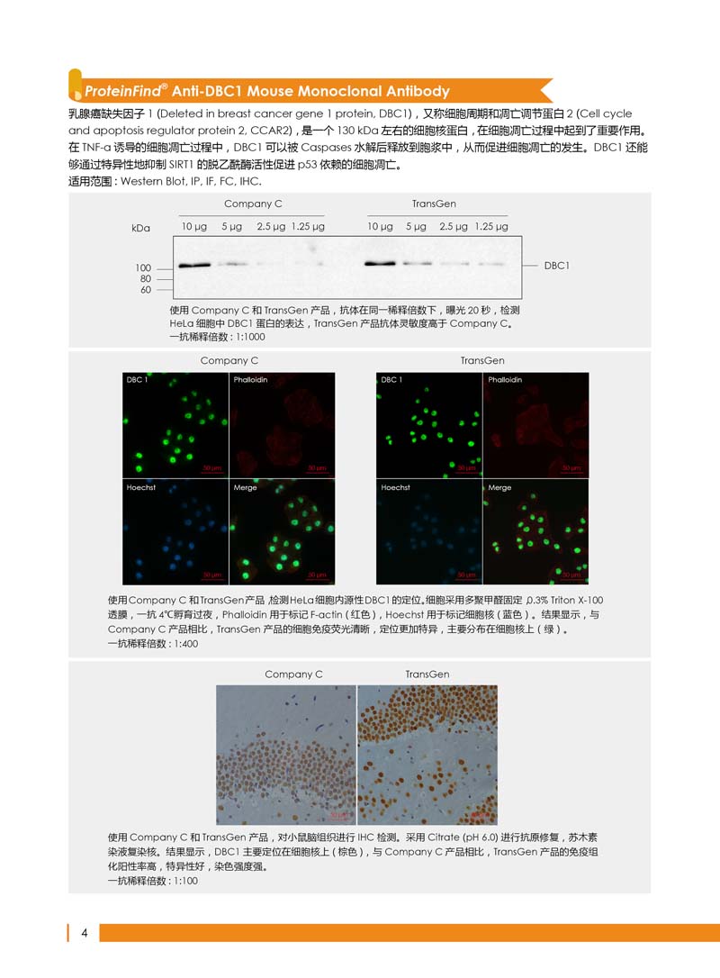 細(xì)胞生物學(xué)相關(guān)抗體新品上市 7.5折鉅惠