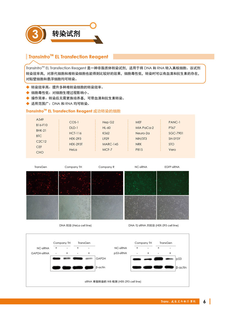 全式金生物禮惠金秋