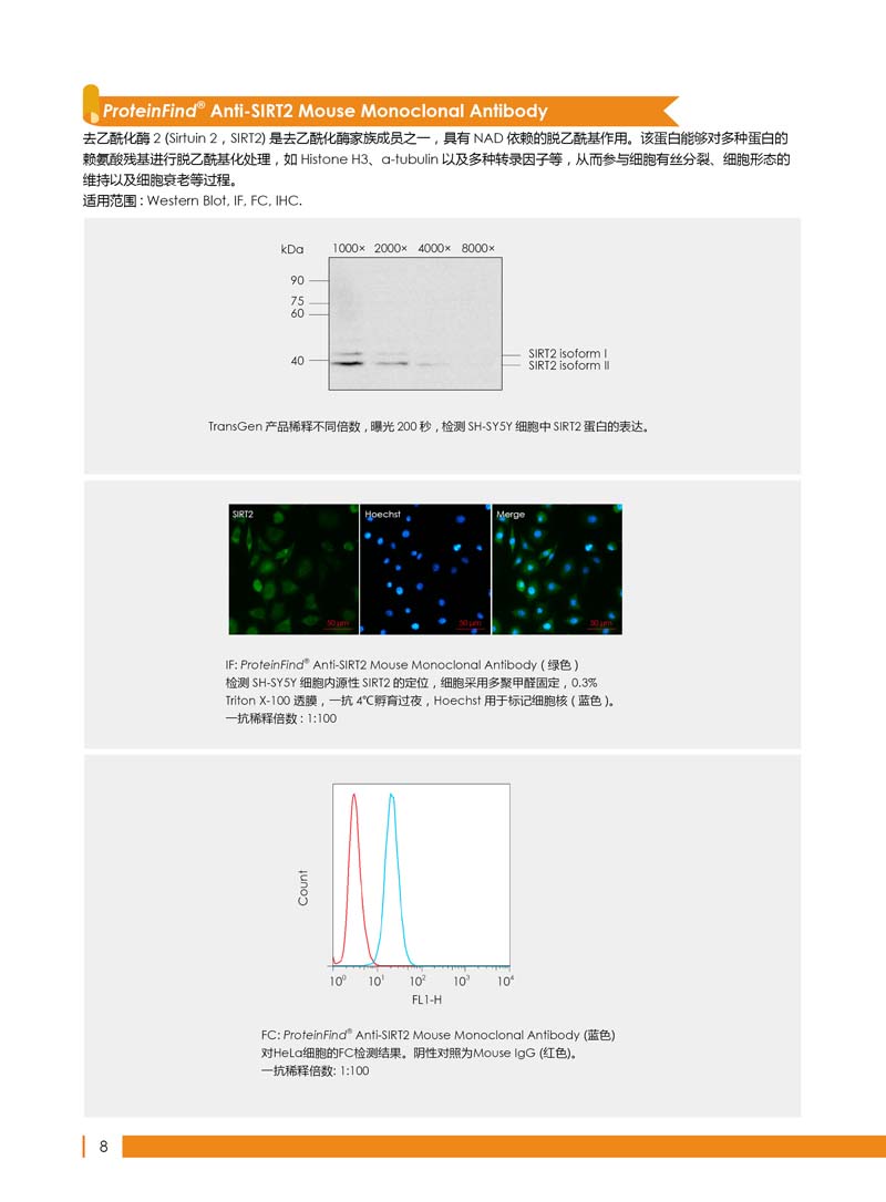細(xì)胞生物學(xué)相關(guān)抗體新品上市 7.5折鉅惠