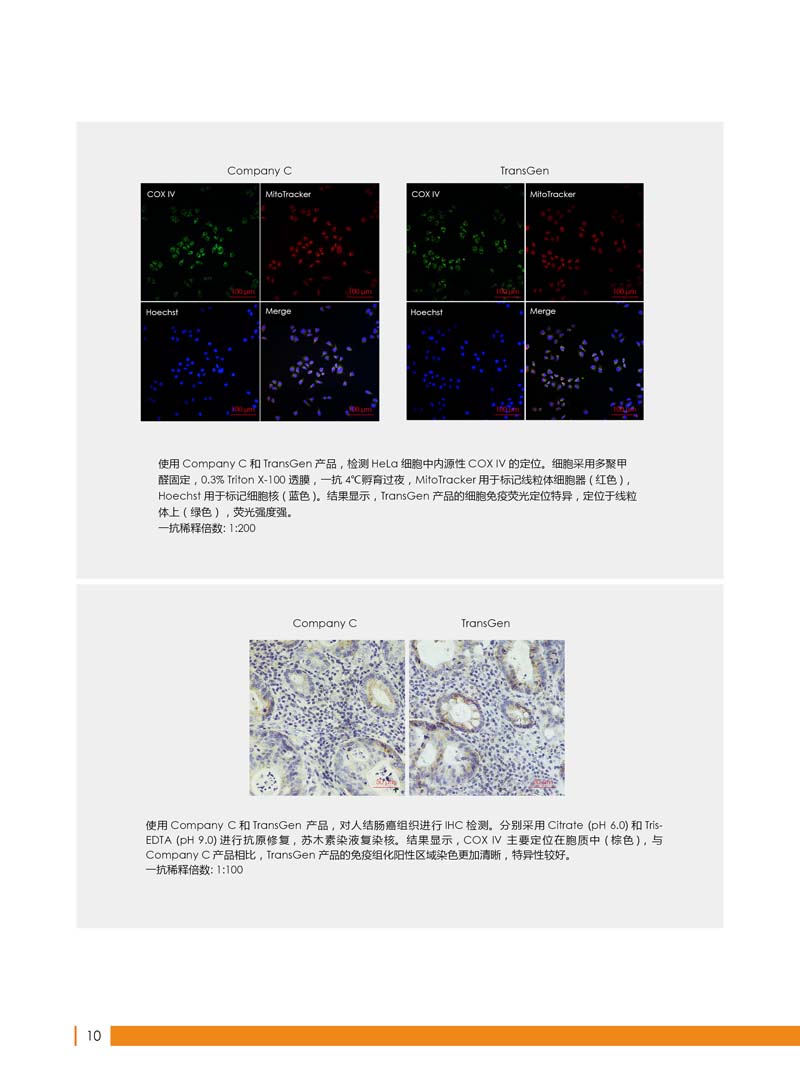 細(xì)胞生物學(xué)相關(guān)抗體新品上市 7.5折鉅惠