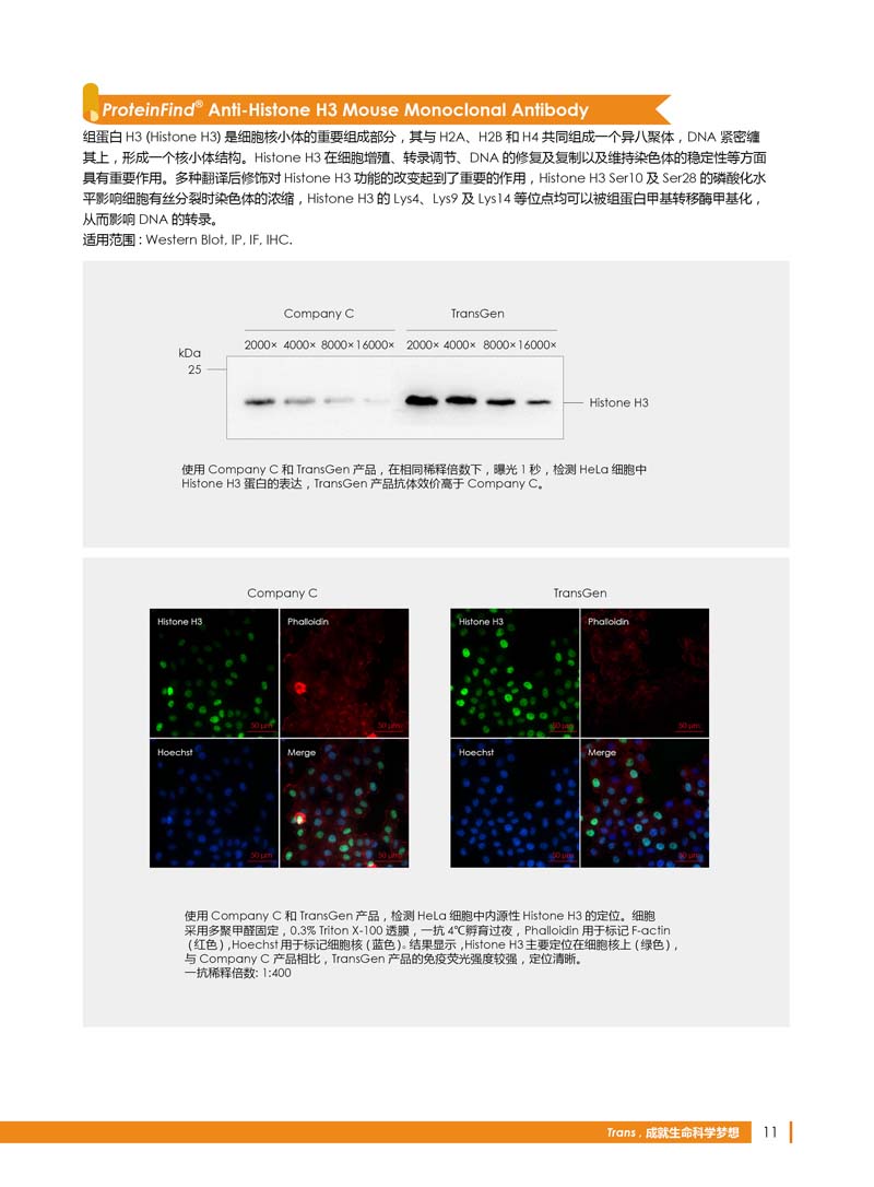 細(xì)胞生物學(xué)相關(guān)抗體新品上市 7.5折鉅惠