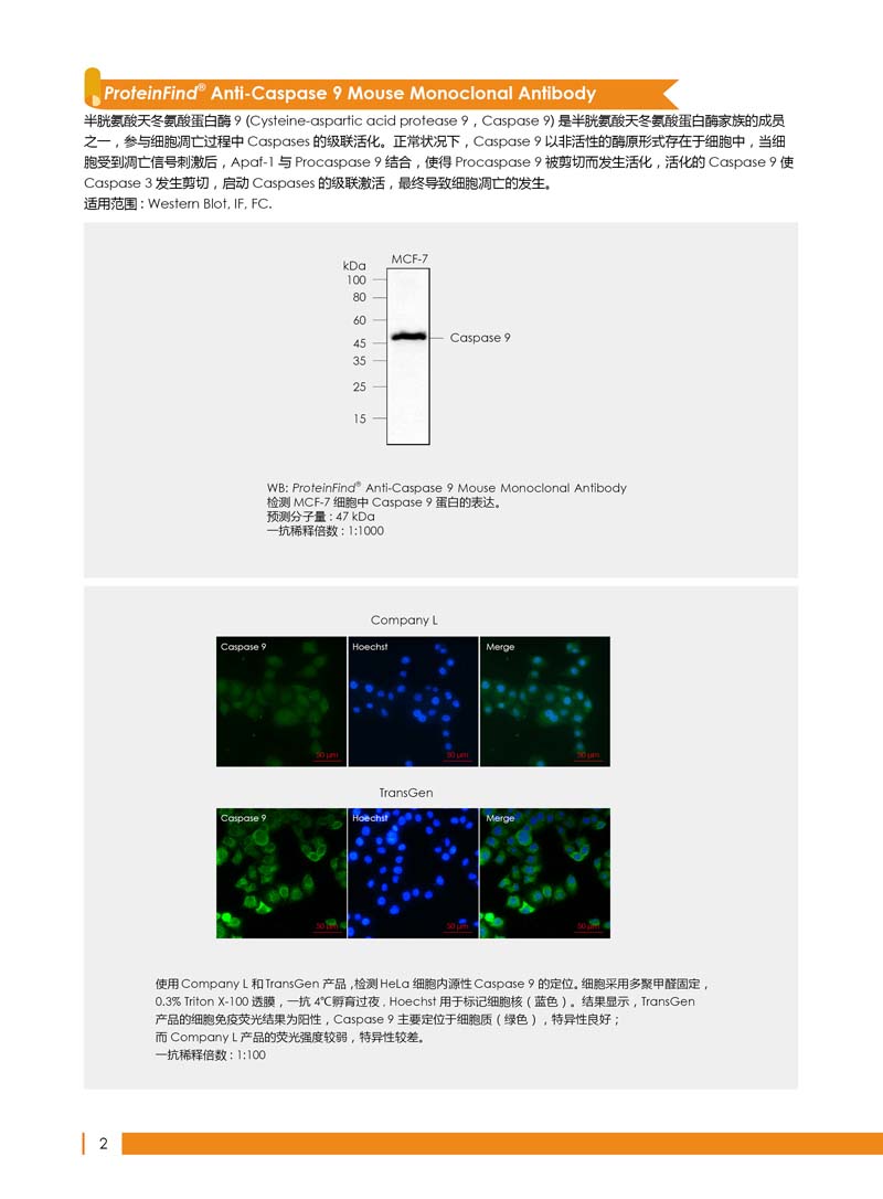 細(xì)胞生物學(xué)相關(guān)抗體新品上市 7.5折鉅惠
