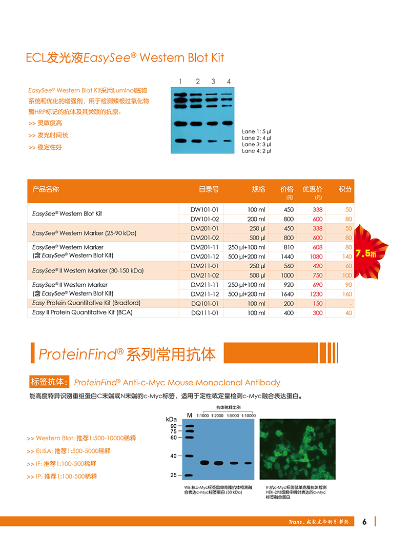 Western Blot金牌產(chǎn)品7.5折大促
