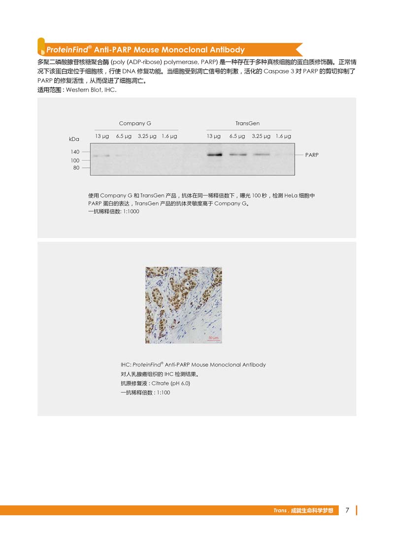 細(xì)胞生物學(xué)相關(guān)抗體新品上市 7.5折鉅惠