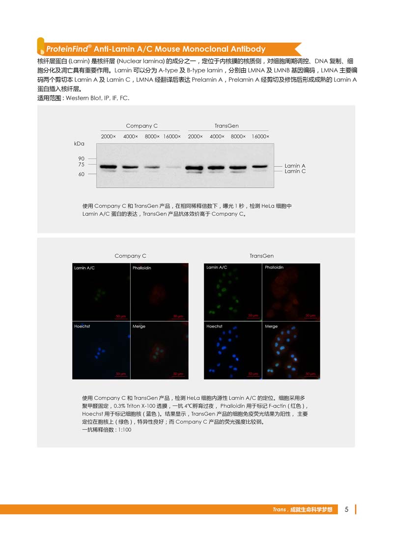 細(xì)胞生物學(xué)相關(guān)抗體新品上市 7.5折鉅惠