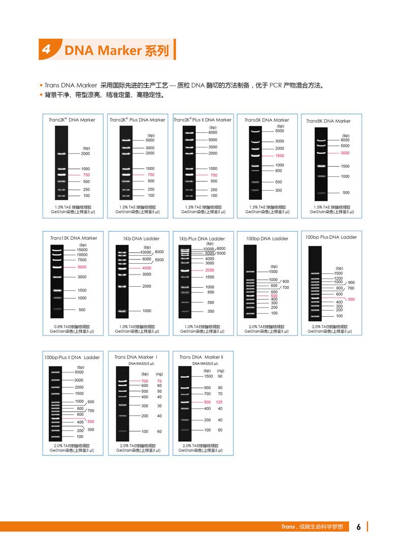 全式金明星產品