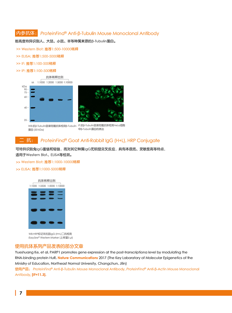 Western Blot金牌產(chǎn)品7.5折大促
