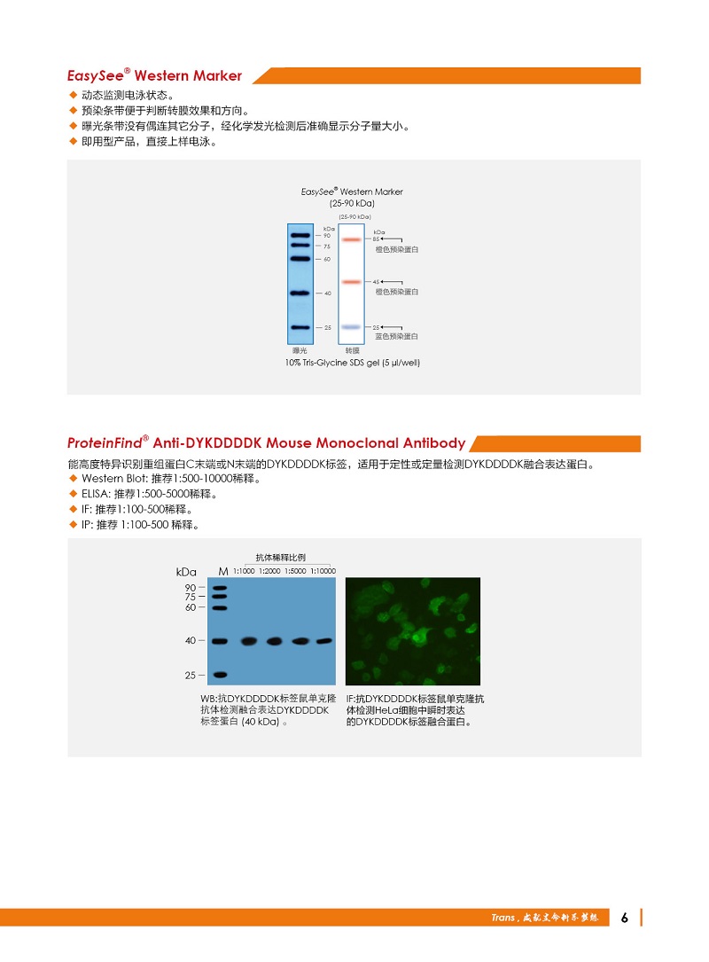 細(xì)胞生物學(xué)金牌產(chǎn)品7.5折大促，別錯(cuò)過(guò)哦