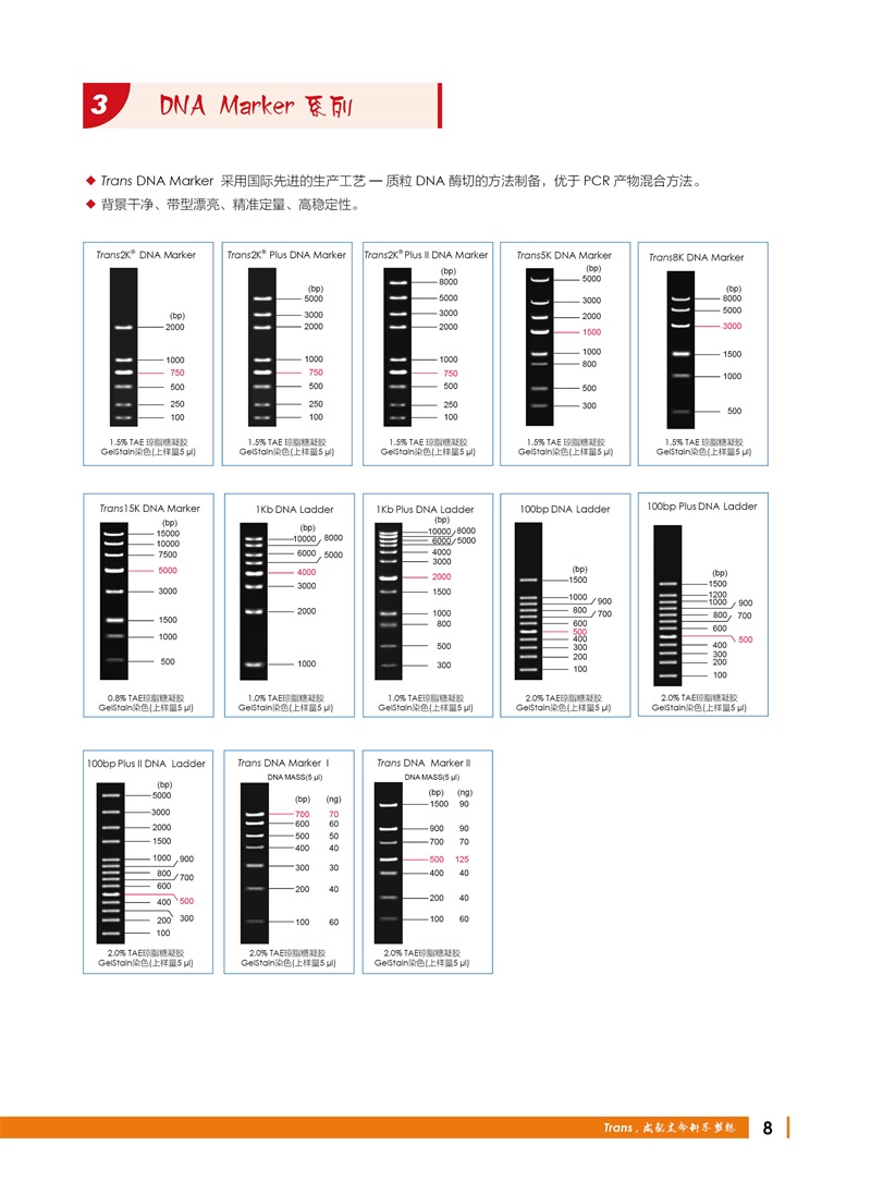 全式金 12周年慶金牌產(chǎn)品推薦（北京上海廣州深圳地區(qū)）