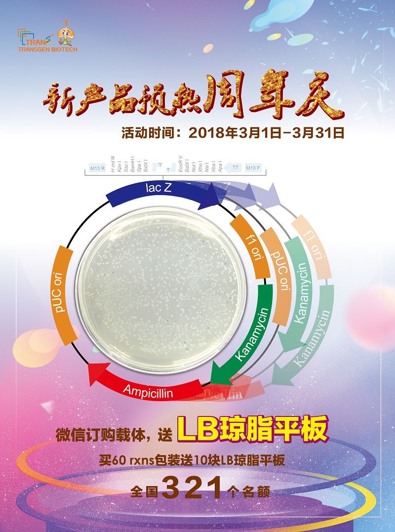 新產(chǎn)品預(yù)熱周年慶，買載體送平板
