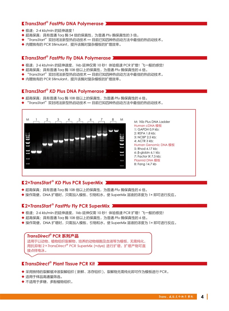 全式金 12周年慶金牌產(chǎn)品推薦（北京上海廣州深圳地區(qū)）